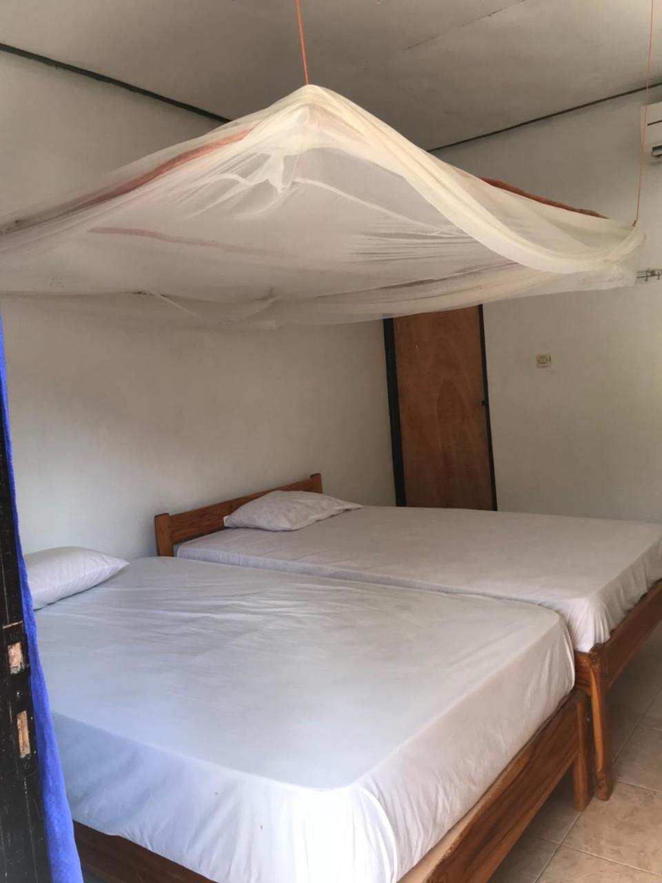 Ova Baluk Bungalow نيمبرالا المظهر الخارجي الصورة